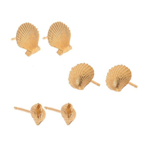 Gold Clam Shell Stud Earrings by Kate Wimbush Jewellery