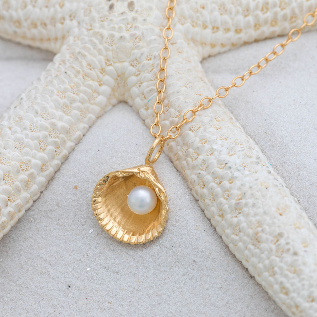 Pearl necklace store with shell