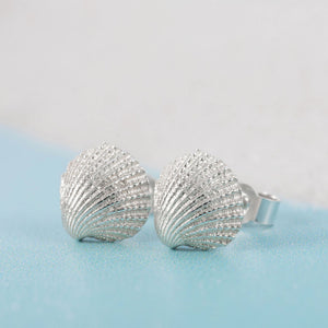Silver cockle shell stud earrings with butterfly backs, by Kate Wimbush Jewellery