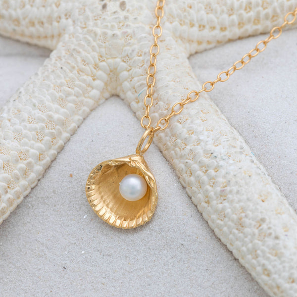 Gold Cockle Shell pendant necklace with pearl Kate Wimbush Jewellery