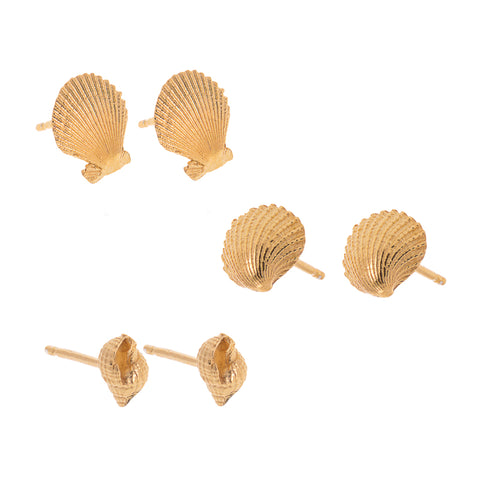 Gold Clam, cockle and whelk shell studs, by Kate Wimbush jewellery