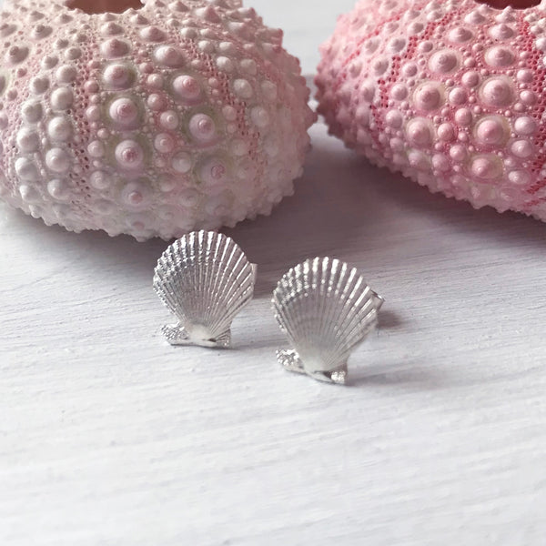 Small Silver Clam Shell Seashell Stud Earrings by Kate Wimbush Jewellery