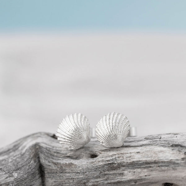 Small Silver Cockle Shell Studs Earrings on driftwood By Kate Wimbush Jewellery
